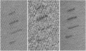 NORSE2015_SARfigs[2]